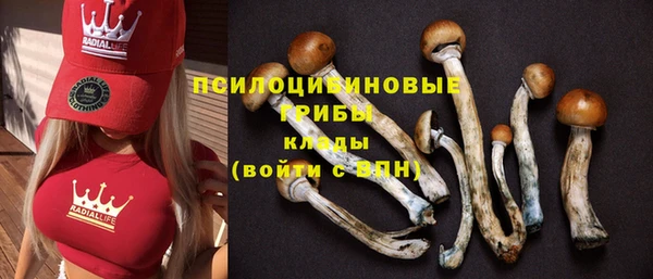 стафф Балахна