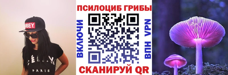 Купить  Лермонтов  Галлюциногенные грибы Psilocybine cubensis 